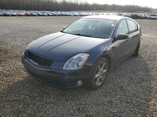 NISSAN MAXIMA SE 2006 with VIN 1N4BA41E36C802708 - Photo from auction