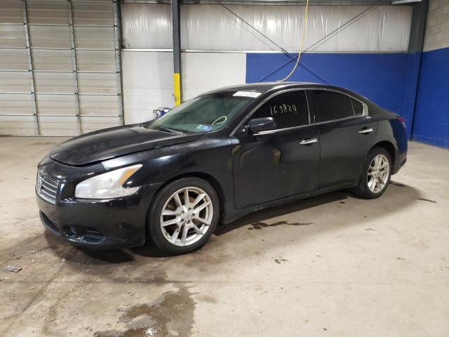 NISSAN MAXIMA S 2010 with VIN 1N4AA5AP3AC825806 - Photo from auction