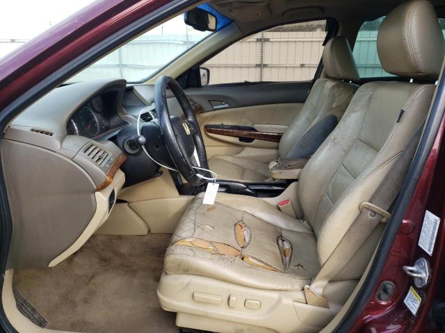 Photo 7 from auction – 2010 HONDA ACCORD EXL with VIN 1HGCP2F81AA005125
