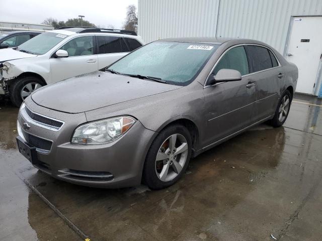 CHEVROLET MALIBU 1LT 2011 with VIN 1G1ZC5EU2BF109009 - Photo from auction