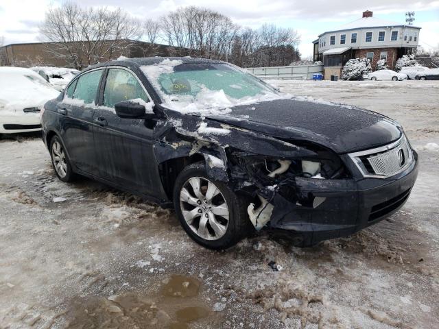 Photo 4 from auction – 2010 HONDA ACCORD EXL with VIN 1HGCP2F86AA145378