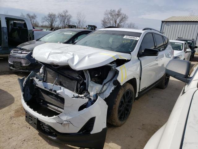 GMC TERRAIN SL 2019 with VIN 3GKALPEV8KL271617 - Photo from auction
