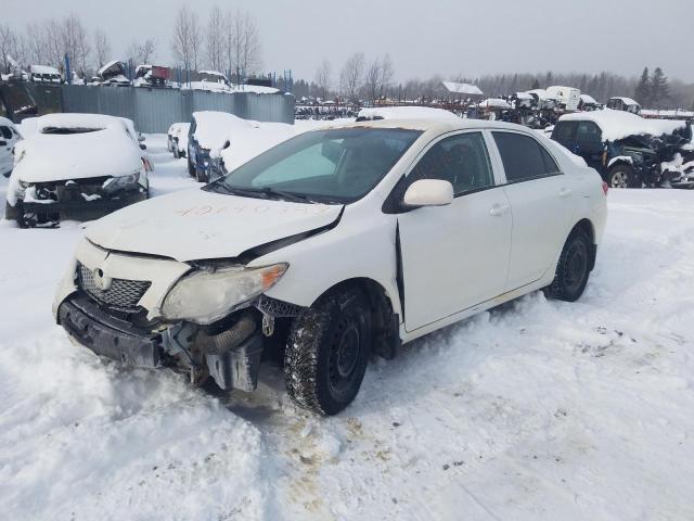 TOYOTA COROLLA BA 2010 with VIN 2T1BU4EE0AC429929 - Photo from auction