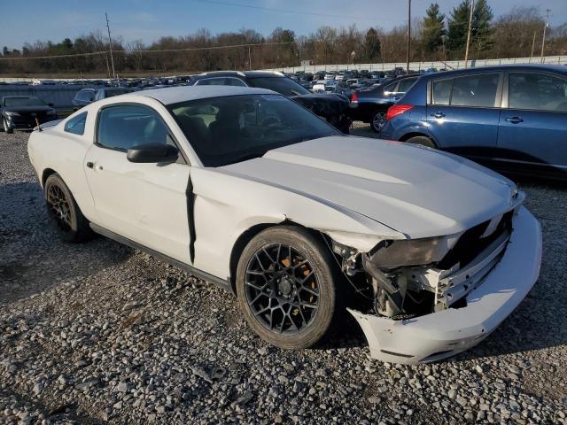 Photo 4 from auction – 2010 FORD MUSTANG with VIN 1ZVBP8AN8A5166166