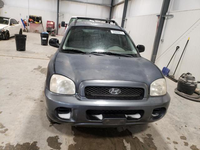 Photo 5 from auction – 2003 HYUNDAI SANTA FE with VIN KM8SB12B33U360797