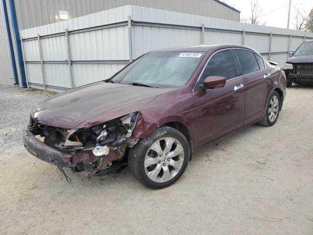 HONDA ACCORD EXL 2008 with VIN 1HGCP36878A065331 - Photo from auction