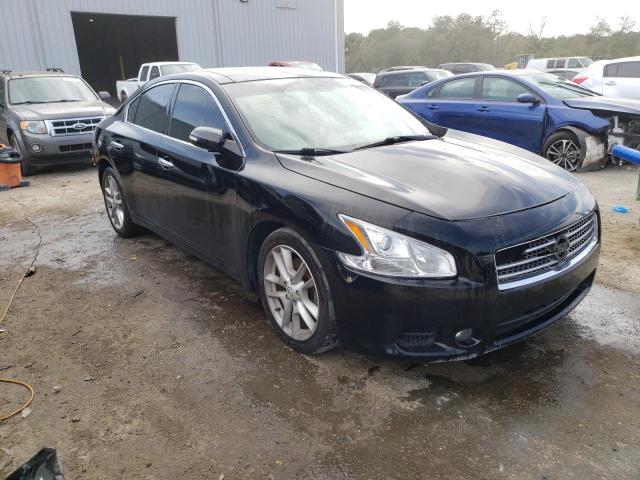 Photo 4 from auction – 2009 NISSAN MAXIMA S with VIN 1N4AA51E79C806184