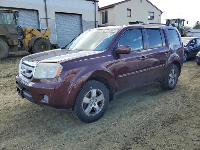 HONDA PILOT EX 2011 with VIN 5FNYF4H46BB059123 - Photo from auction