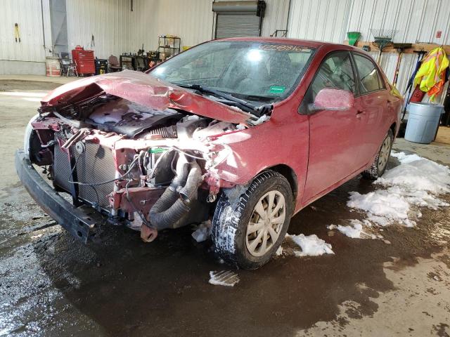 TOYOTA COROLLA BA 2011 with VIN JTDBU4EE2BJ106441 - Photo from auction