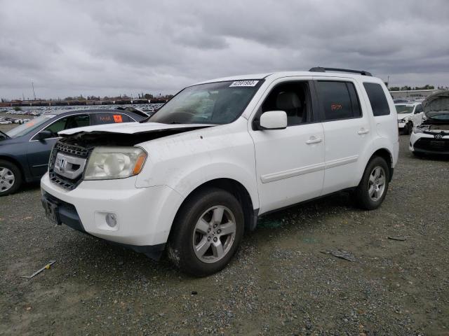 HONDA PILOT EX 2009 with VIN 5FNYF48419B042305 - Photo from auction