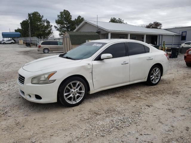 NISSAN MAXIMA S 2009 with VIN 1N4AA51E59C837272 - Photo from auction