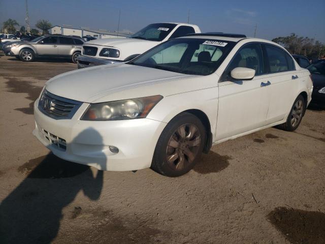 HONDA ACCORD EXL 2010 with VIN 5KBCP3F85AB001981 - Photo from auction