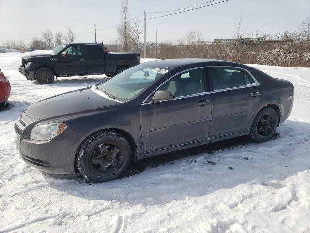 CHEVROLET MALIBU LS 2010 with VIN 1G1ZB5E08AF251928 - Photo from auction