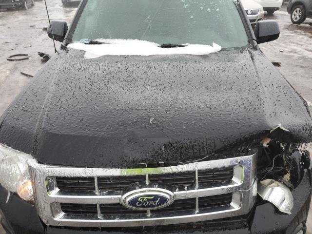 Photo 12 from auction – 2010 FORD ESCAPE XLT with VIN 1FMCU0DG1AKD18820