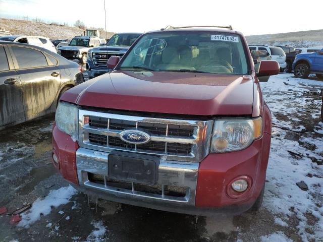 Photo 5 from auction – 2011 FORD ESCAPE LIM with VIN 1FMCU9EG5BKC43351