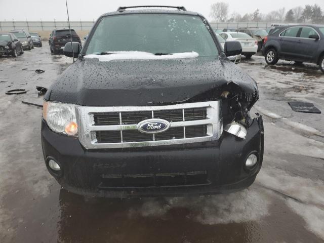 Photo 5 from auction – 2010 FORD ESCAPE XLT with VIN 1FMCU0DG1AKD18820