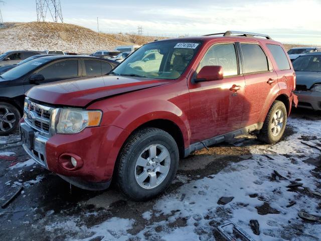 FORD ESCAPE LIM 2011 with VIN 1FMCU9EG5BKC43351 - Photo from auction