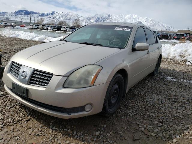NISSAN MAXIMA SE 2005 with VIN 1N4BA41E95C865908 - Photo from auction