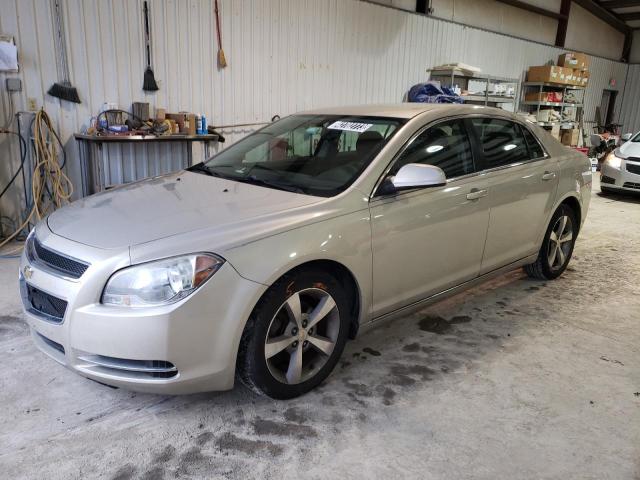 CHEVROLET MALIBU 1LT 2011 with VIN 1G1ZC5E1XBF302076 - Photo from auction