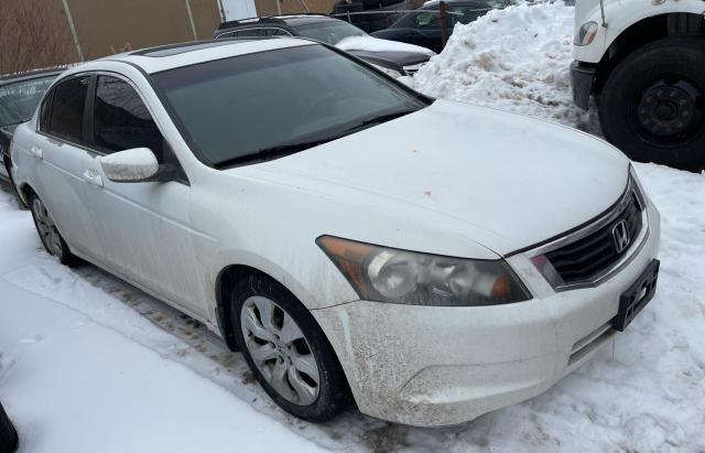 HONDA ACCORD EX 2010 with VIN 1HGCP2F70AA806510 - Photo from auction