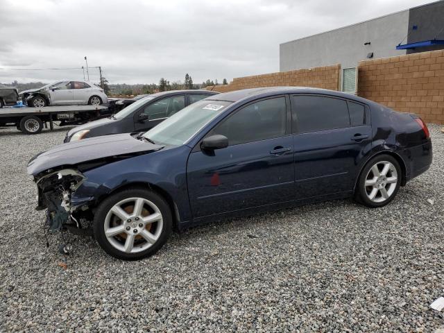 NISSAN MAXIMA SE 2006 with VIN 1N4BA41E66C861171 - Photo from auction