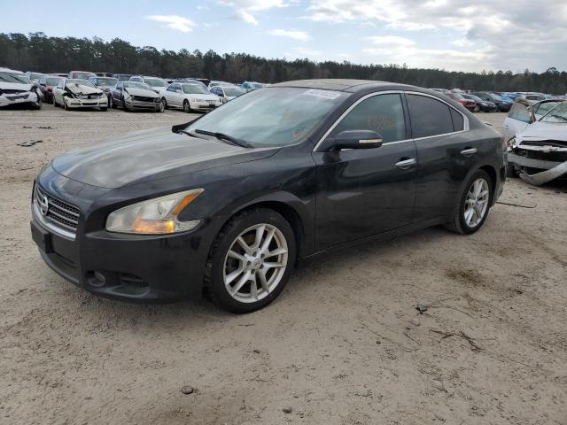 NISSAN MAXIMA S 2011 with VIN 1N4AA5AP4BC865152 - Photo from auction