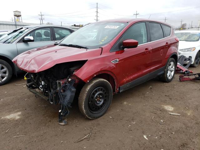 FORD ESCAPE SE 2014 with VIN 1FMCU0GX9EUC17448 - Photo from auction