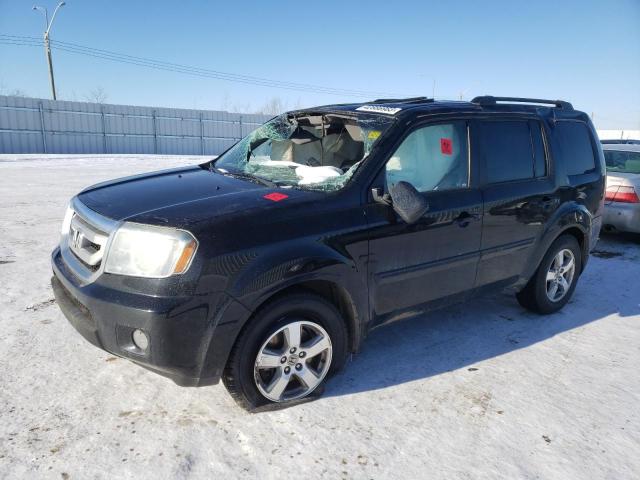 Photo 1 from auction – 2010 HONDA PILOT EXL with VIN 5FNYF4H51AB503242