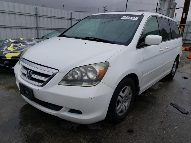 HONDA ODYSSEY EX 2007 with VIN 5FNRL38637B459060 - Photo from auction