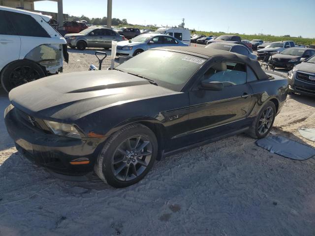 FORD MUSTANG 2011 with VIN 1ZVBP8EM6B5167917 - Photo from auction
