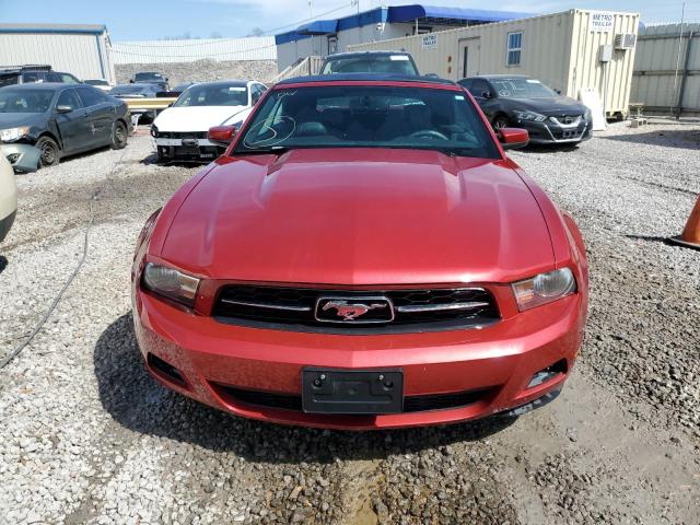 Photo 5 from auction – 2010 FORD MUSTANG with VIN 1ZVBP8EN8A5141228