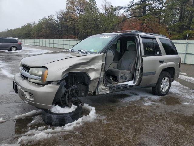 CHEVROLET TRAILBLAZE 2003 with VIN 1GNDT13S432398082 - Photo from auction