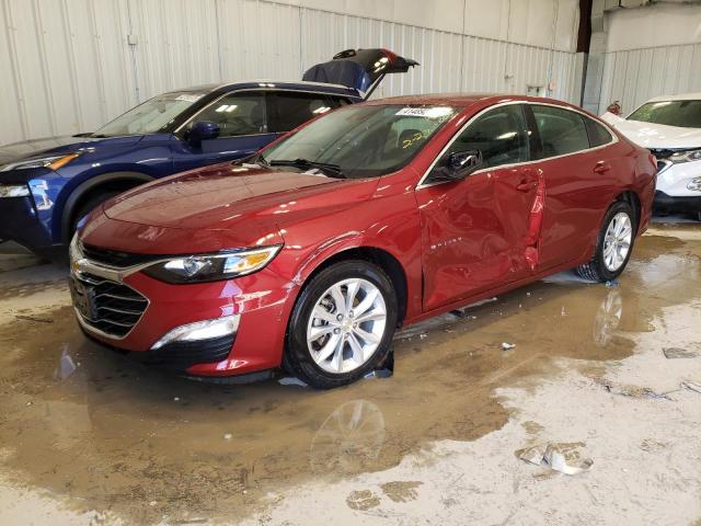 CHEVROLET MALIBU LT 2019 with VIN 1G1ZD5ST2KF126451 - Photo from auction