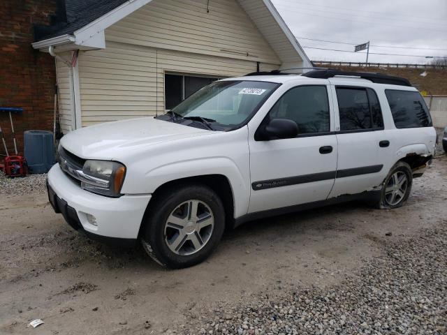 Photo 1 from auction – 2004 CHEVROLET TRAILBLAZE with VIN 1GNET16S946107134