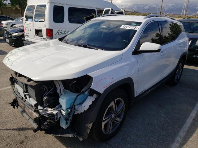 GMC TERRAIN SL 2019 with VIN 3GKALVEV8KL186555 - Photo from auction