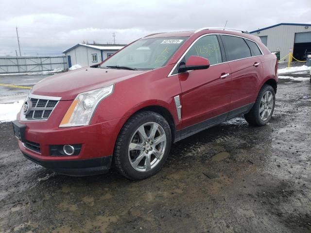 CADILLAC SRX PREMIU 2010 with VIN 3GYFNKE45AS628417 - Photo from auction