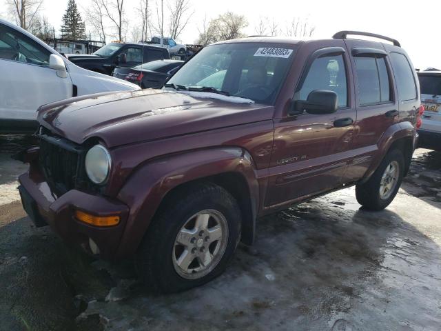 JEEP LIBERTY LI 2003 with VIN 1J4GL58K93W547515 - Photo from auction