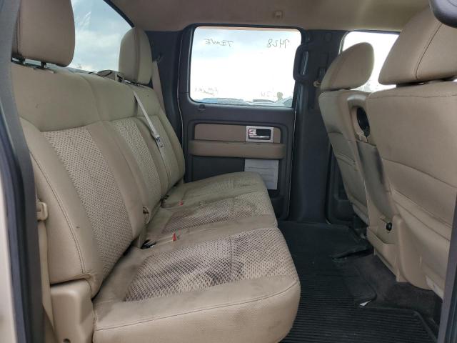 Photo 10 from auction – 2010 FORD F150 SUPER with VIN 1FTFW1EV0AFA73015