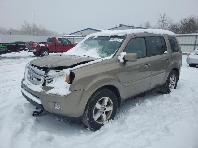 HONDA PILOT EXL 2010 with VIN 5FNYF4H53AB039581 - Photo from auction