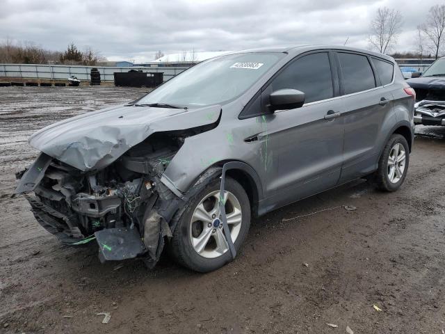 FORD ESCAPE SE 2014 with VIN 1FMCU0GX7EUE02565 - Photo from auction