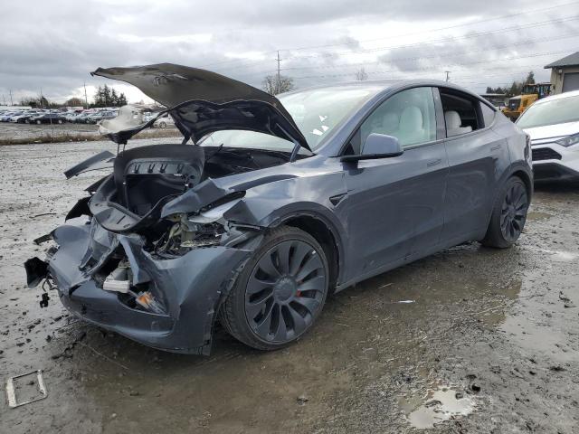 TESLA MODEL Y 2022 with VIN 7SAYGDEF7NF406565 - Photo from auction