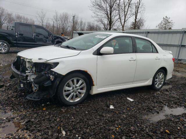 TOYOTA COROLLA 2010 with VIN 2T1BU4EE6AC491738 - Photo from auction