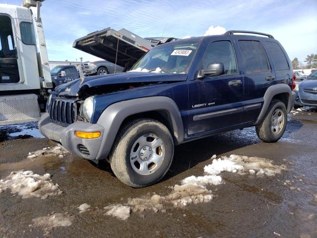 JEEP LIBERTY SP 2003 with VIN 1J4GL48K03W633337 - Photo from auction