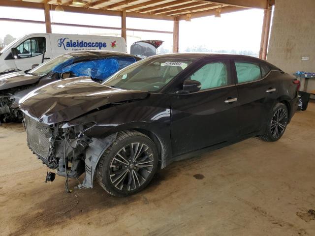 NISSAN MAXIMA 3.5 2016 with VIN 1N4AA6AP3GC425968 - Photo from auction