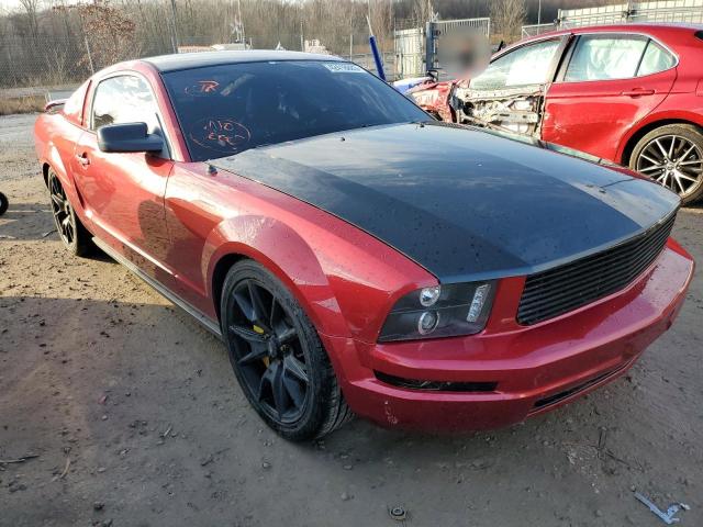 Photo 4 from auction – 2005 FORD MUSTANG with VIN 1ZVFT80N155240225