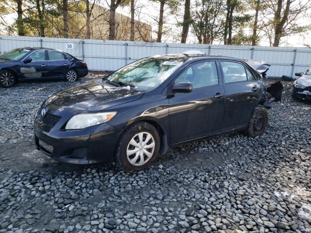 TOYOTA COROLLA BA 2010 with VIN 2T1BU4EE4AC243066 - Photo from auction