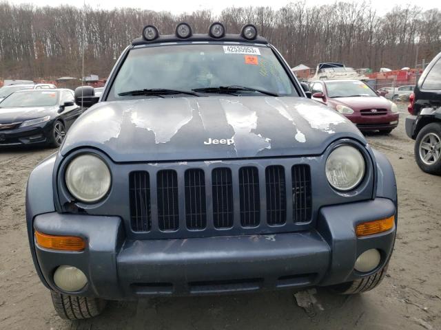 Photo 5 from auction – 2002 JEEP LIBERTY LI with VIN 1J4GL58K42W284087