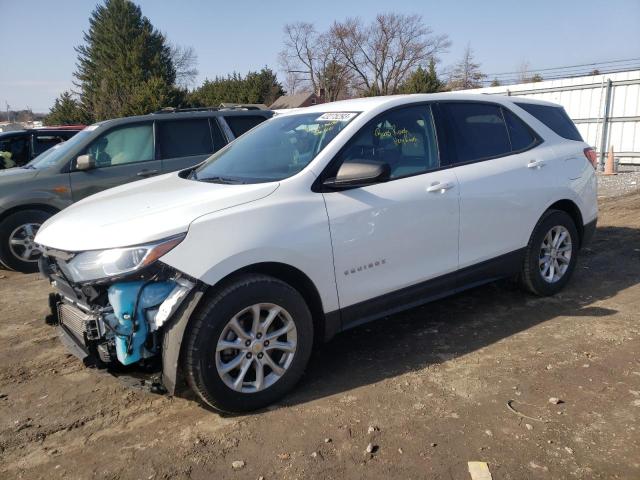 CHEVROLET EQUINOX LS 2019 with VIN 2GNAXSEV2K6123753 - Photo from auction