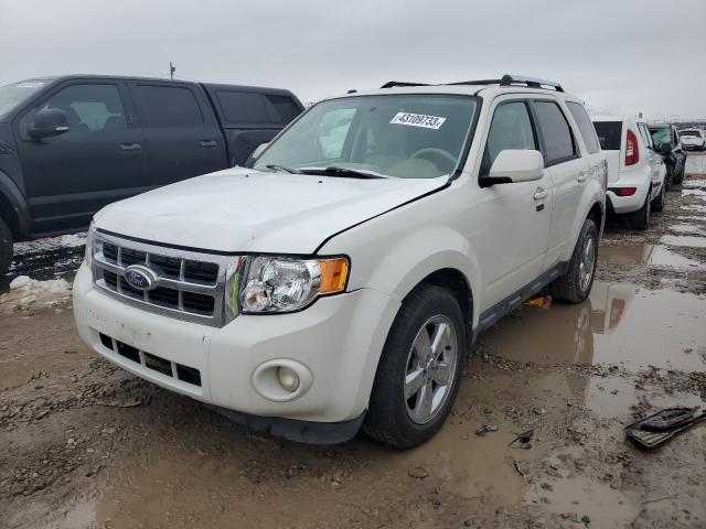 FORD ESCAPE LIM 2010 with VIN 1FMCU9EG1AKB93448 - Photo from auction