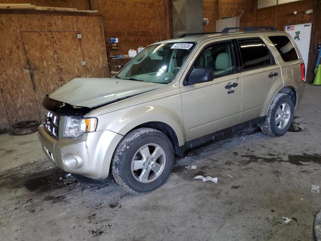 FORD ESCAPE XLT 2011 مع رقم تعريف المركبة 1FMCU9DG5BKB69902 - صورة من المزاد